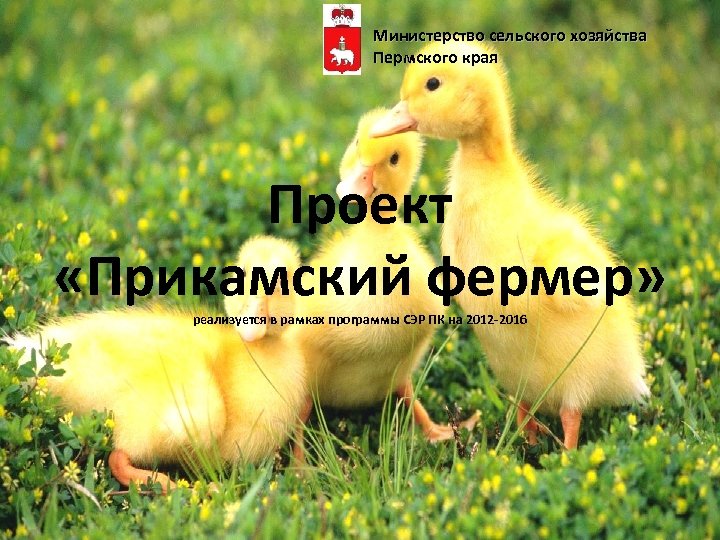 Министерство сельского хозяйства Пермского края Проект «Прикамский фермер» реализуется в рамках программы СЭР ПК