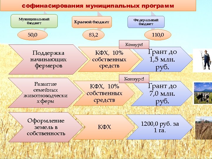 софинасирования муниципальных программ Муниципальный бюджет 50, 0 Федеральный бюджет Краевой бюджет 83, 2 110,