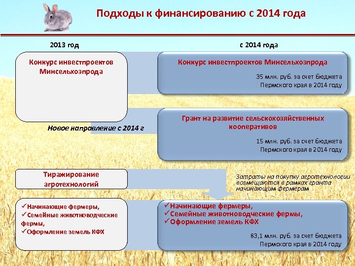 Подходы к финансированию с 2014 года 2013 год Конкурс инвестпроектов Минсельхозпрода Новое направление с