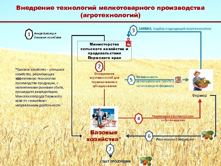 Внедрение технологий мелкотоварного производства (агротехнологий) 1 3 Аккредитация базовых хозяйств ЗАЯВКА, подбор подходящей агротехнологии
