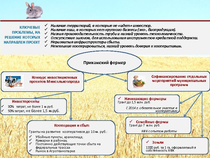 КЛЮЧЕВЫЕ ПРОБЛЕМЫ, НА РЕШЕНИЕ КОТОРЫХ НАПРАВЛЕН ПРОЕКТ ü ü ü Наличие территорий, в которые