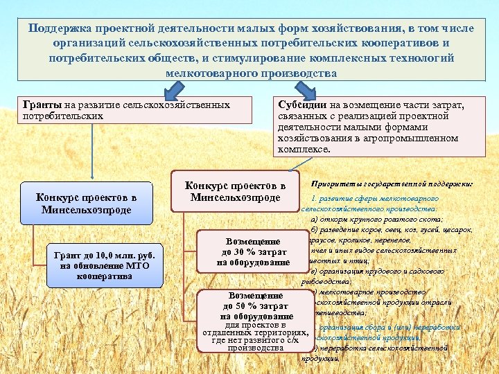 Поддержка проектной деятельности малых форм хозяйствования, в том числе организаций сельскохозяйственных потребительских кооперативов и