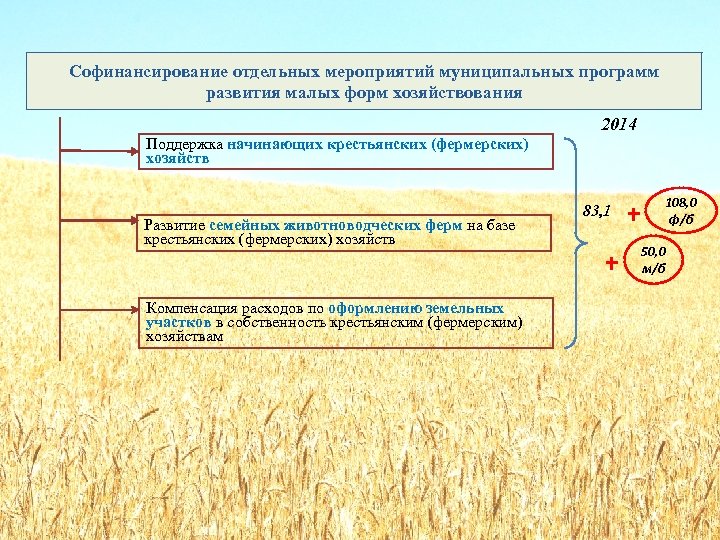 Софинансирование отдельных мероприятий муниципальных программ развития малых форм хозяйствования 2014 Поддержка начинающих крестьянских (фермерских)
