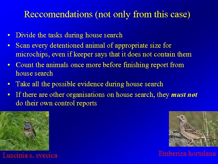 Reccomendations (not only from this case) • Divide the tasks during house search •