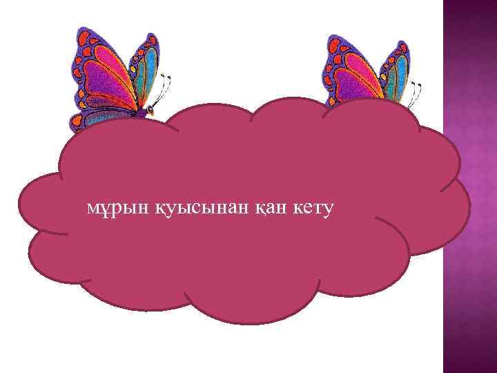 мұрын қуысынан қан кету 