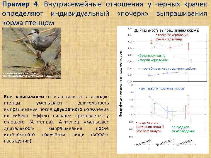 Пример 4. Внутрисемейные отношения у черных крачек определяют индивидуальный «почерк» выпрашивания корма птенцом Длительность
