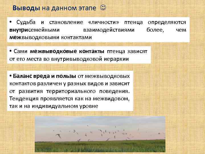 Выводы на данном этапе • Судьба и становление «личности» птенца определяются внутрисемейными взаимодействиями более,