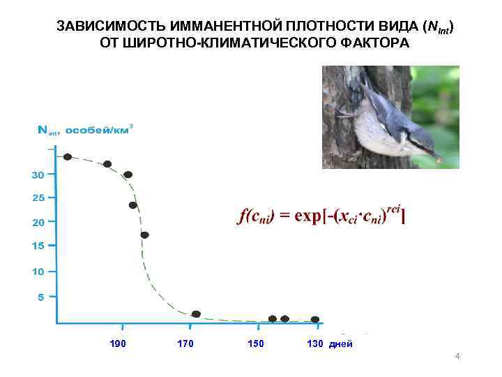 ЗАВИСИМОСТЬ ИMМАНЕНТНОЙ ПЛОТНОСТИ ВИДА (Nint) ОТ ШИРОТНО-КЛИМАТИЧЕСКОГО ФАКТОРА 190 170 150 130 дней 4