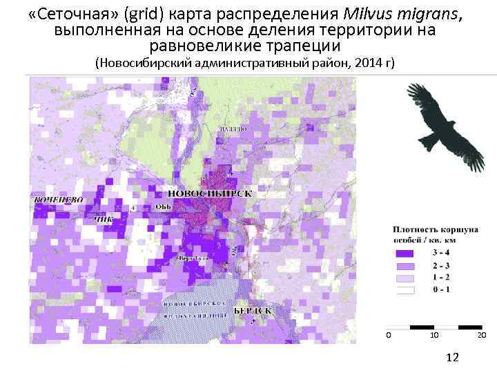  «Сеточная» (grid) карта распределения Milvus migrans, выполненная на основе деления территории на равновеликие