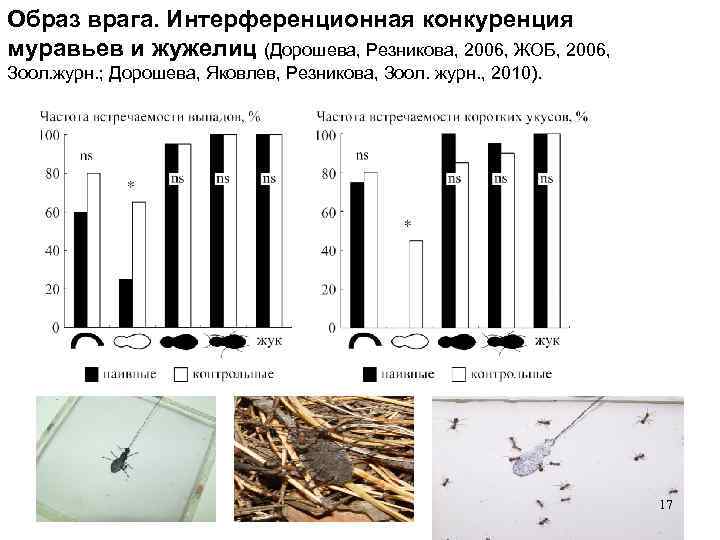 Образ врага. Интерференционная конкуренция муравьев и жужелиц (Дорошева, Резникова, 2006, ЖОБ, 2006, Зоол. журн.