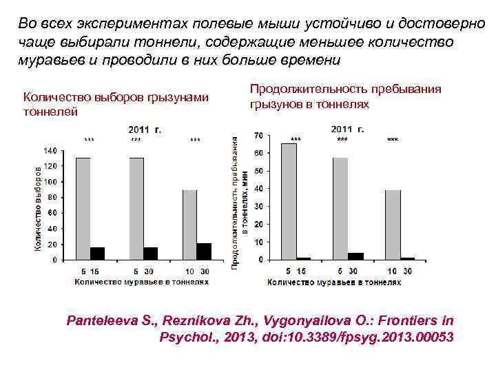 Во всех экспериментах полевые мыши устойчиво и достоверно чаще выбирали тоннели, содержащие меньшее количество