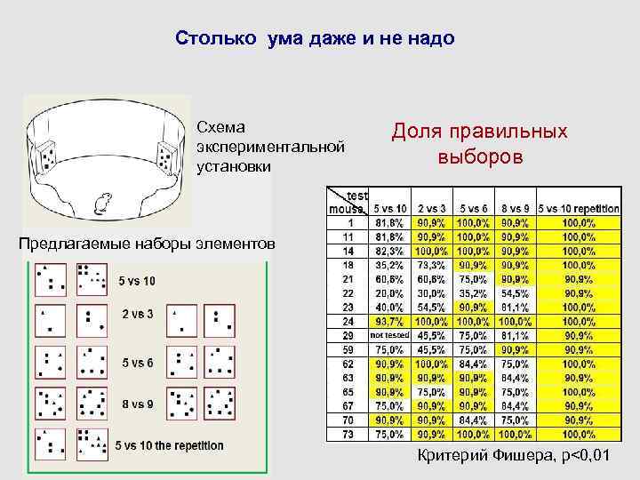 Столько ума даже и не надо Схема экспериментальной установки Доля правильных выборов Предлагаемые наборы