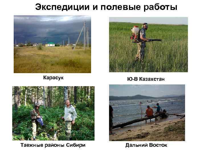 Экспедиции и полевые работы Карасук Ю-В Казахстан Таежные районы Сибири Дальний Восток 