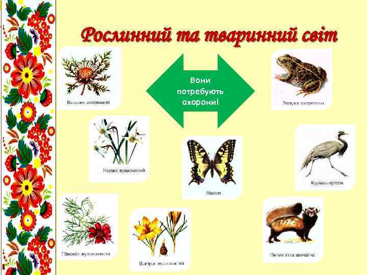 Рослинний та тваринний світ Вони потребують охорони! 