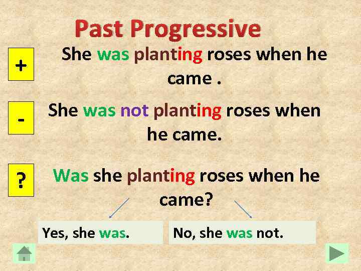 Past Progressive + She was planting roses when he came. - She was not
