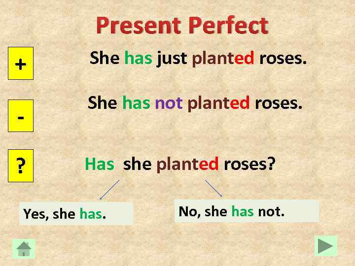 Present Perfect + ? She has just planted roses. She has not planted roses.