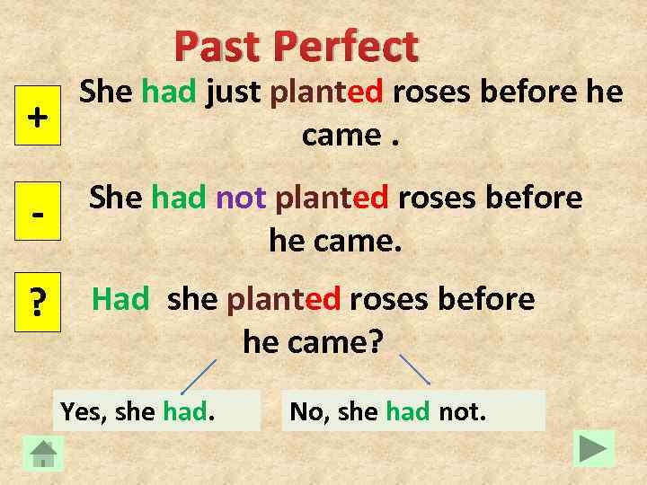 Past Perfect + She had just planted roses before he came. - She had