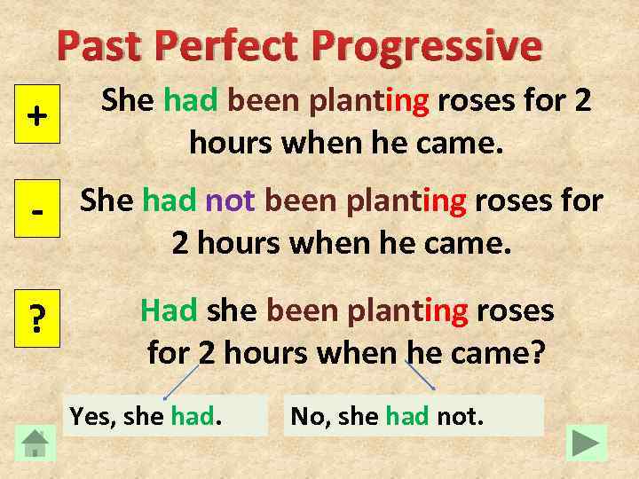 Past Perfect Progressive + She had been planting roses for 2 hours when he