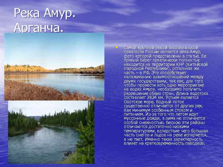 Река Амур. Арганча. • Самой крупной рекой тихоокеанской покатости России является река Амур, фото