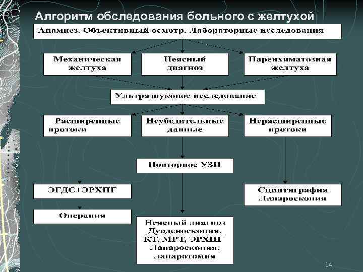 Алгоритм обследования больного с желтухой 14 