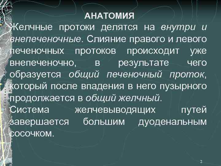 АНАТОМИЯ Желчные протоки делятся на внутри и внепеченочные. Слияние правого и левого печеночных протоков