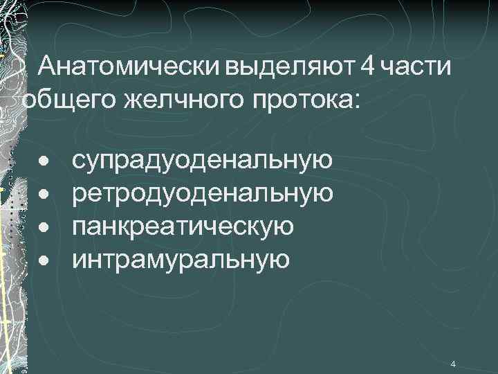 Анатомически выделяют 4 части общего желчного протока: · · супрадуоденальную ретродуоденальную панкреатическую интрамуральную 4