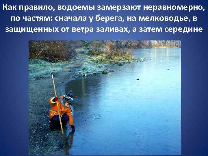 Как правило, водоемы замерзают неравномерно, по частям: сначала у берега, на мелководье, в защищенных