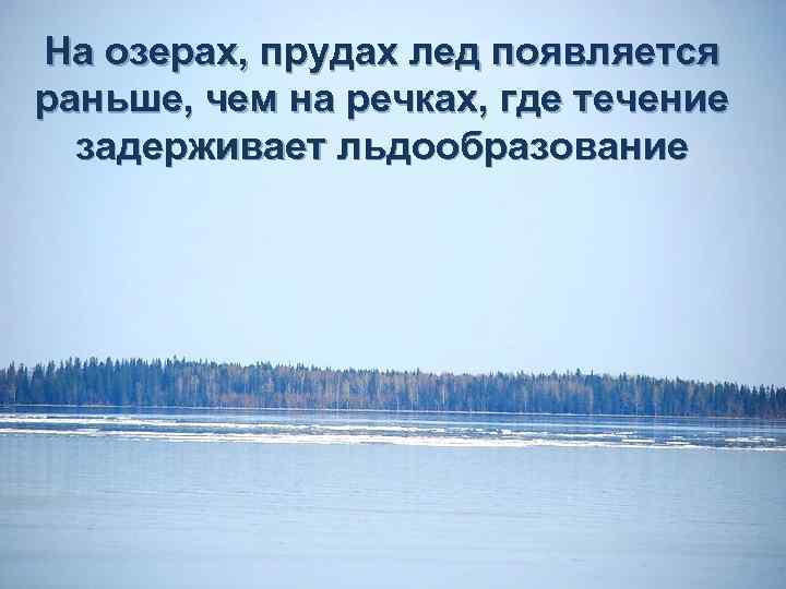 На озерах, прудах лед появляется раньше, чем на речках, где течение задерживает льдообразование 