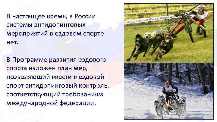 В настоящее время, в России системы антидопинговых мероприятий в ездовом спорте нет. В Программе