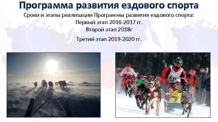 Программа развития ездового спорта Сроки и этапы реализации Программы развития ездового спорта: Первый этап