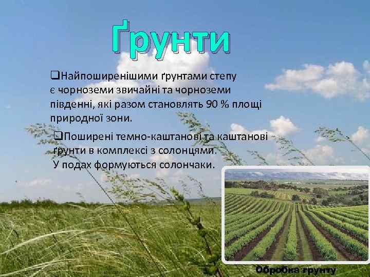  Ґрунти q. Найпоширенішими ґрунтами степу є чорноземи звичайні та чорноземи південні, які разом