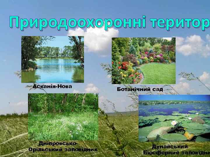 Природоохоронні територ Асканія-Нова Дніпровсько. Орільський заповідник Ботанічний сад Дунайський Біосферний заповідни 