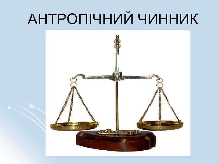 АНТРОПІЧНИЙ ЧИННИК 