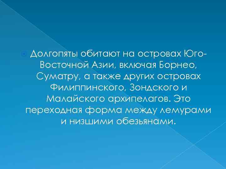 Долгопяты обитают на островах Юго. Восточной Азии, включая Борнео, Суматру, а также других островах