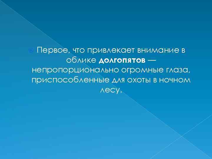 Первое, что привлекает внимание в облике долгопятов — непропорционально огромные глаза, приспособленные для охоты