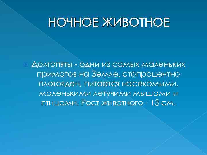 НОЧНОЕ ЖИВОТНОЕ Долгопяты - одни из самых маленьких приматов на Земле, стопроцентно плотояден, питается