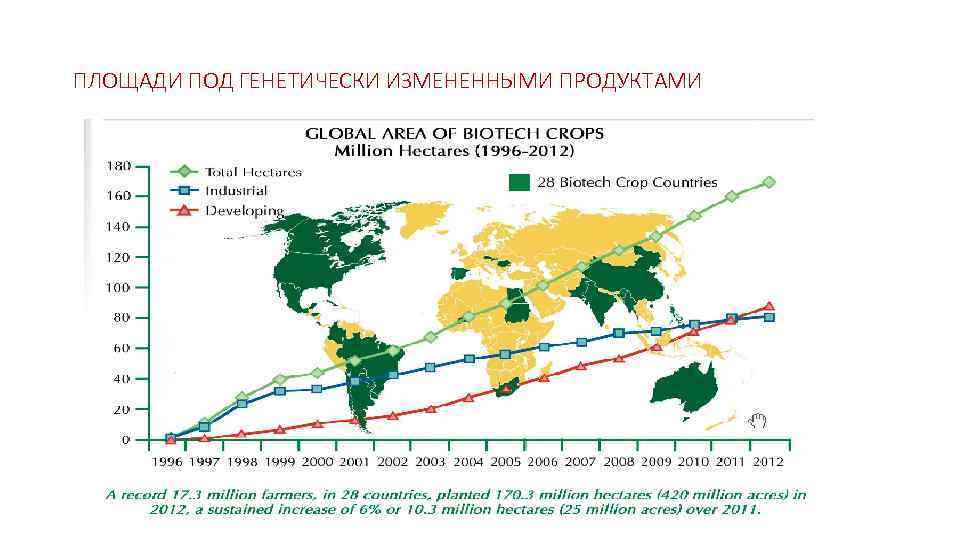 ПЛОЩАДИ ПОД ГЕНЕТИЧЕСКИ ИЗМЕНЕННЫМИ ПРОДУКТАМИ 