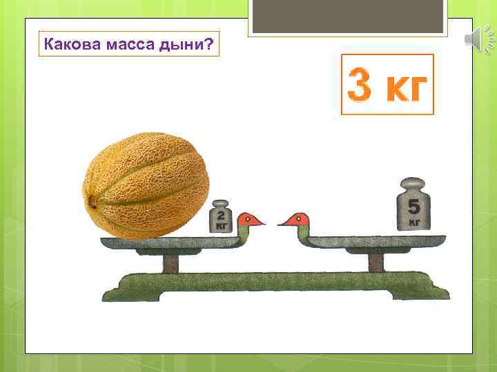 Какова масса дыни? 