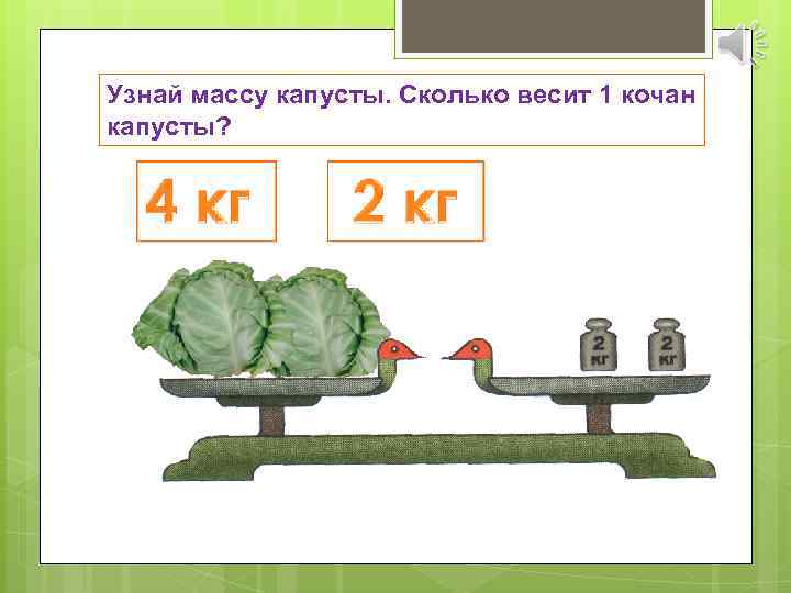 Весом 1 1 2. Определи массу кочана капусты. Вес одного кочана капусты. Вес среднего кочана капусты. Сколько весит капуста.