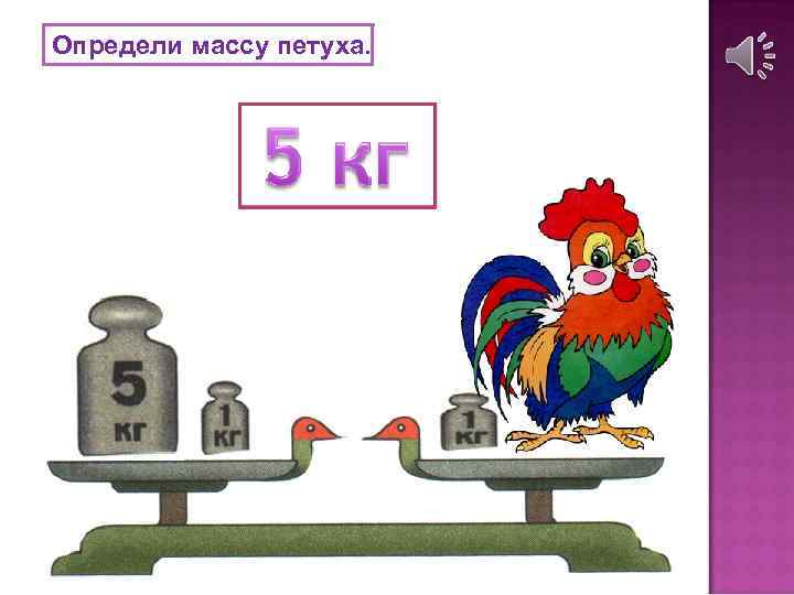 Определи массу петуха. 