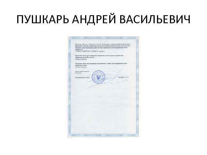 ПУШКАРЬ АНДРЕЙ ВАСИЛЬЕВИЧ 