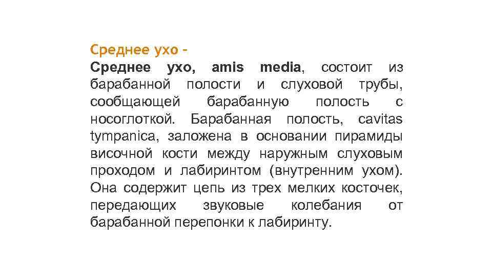 Среднее ухо, amis media, состоит из барабанной полости и слуховой трубы, сообщающей барабанную полость