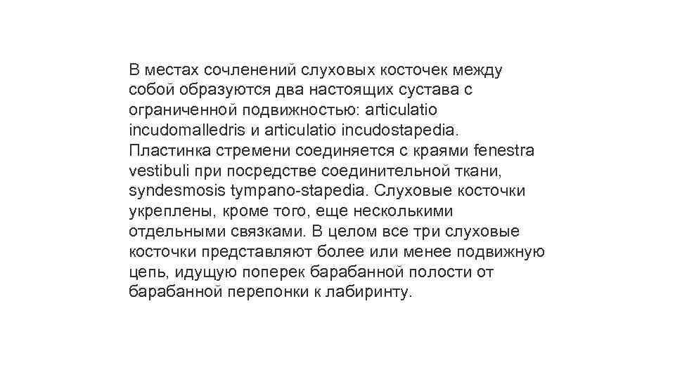 В местах сочленений слуховых косточек между собой образуются два настоящих сустава с ограниченной подвижностью:
