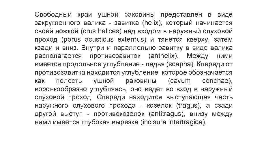 Свободный край ушной раковины представлен в виде закругленного валика - завитка (helix), который начинается