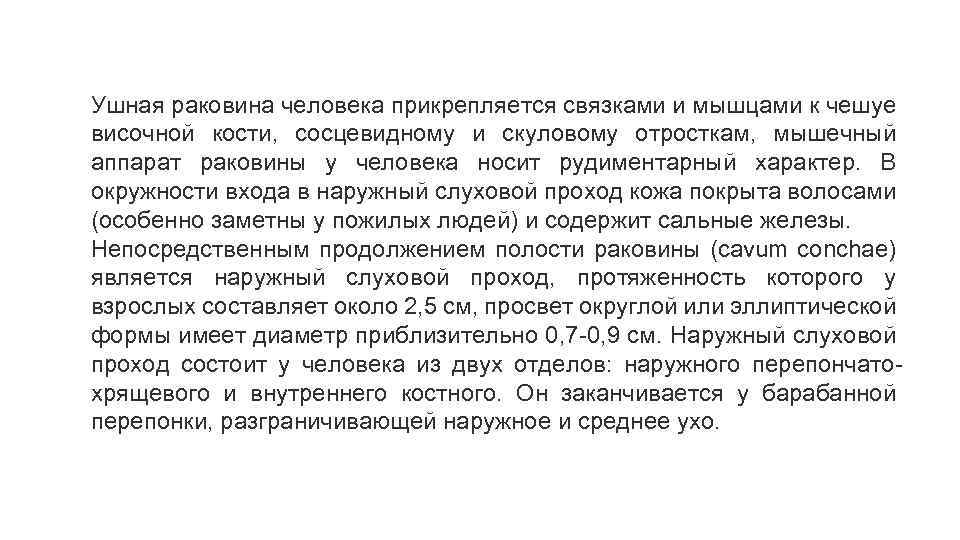 Ушная раковина человека прикрепляется связками и мышцами к чешуе височной кости, сосцевидному и скуловому