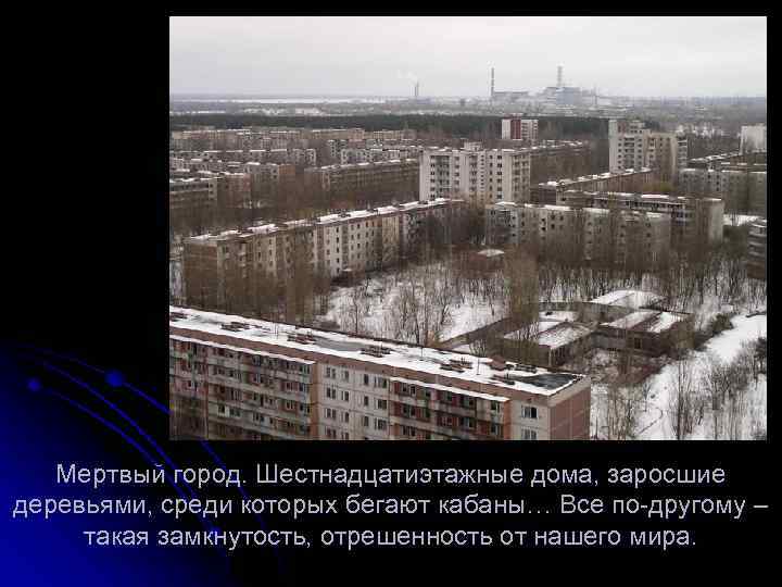 Мертвый город. Шестнадцатиэтажные дома, заросшие деревьями, среди которых бегают кабаны… Все по-другому – такая