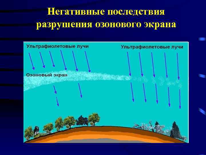 Негативные последствия разрушения озонового экрана 