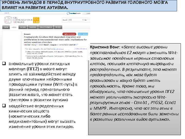 УРОВЕНЬ ЛИПИДОВ В ПЕРИОД ВНУТРИУТРОБНОГО РАЗВИТИЯ ГОЛОВНОГО МОЗГА ВЛИЯЕТ НА РАЗВИТИЕ АУТИЗМА. q аномальные