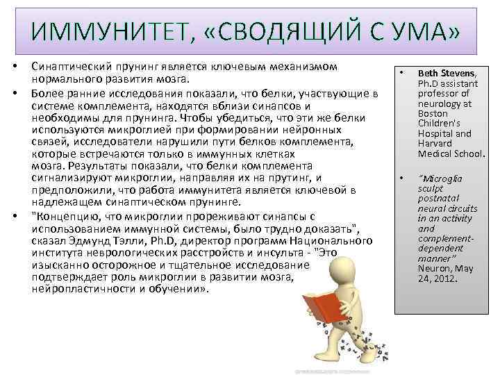 ИММУНИТЕТ, «СВОДЯЩИЙ С УМА» • • • Синаптический прунинг является ключевым механизмом нормального развития