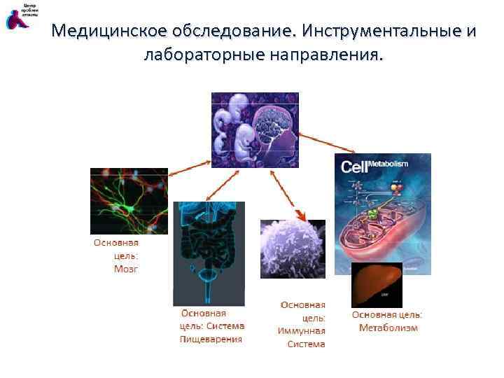 Медицинское обследование. Инструментальные и лабораторные направления. 